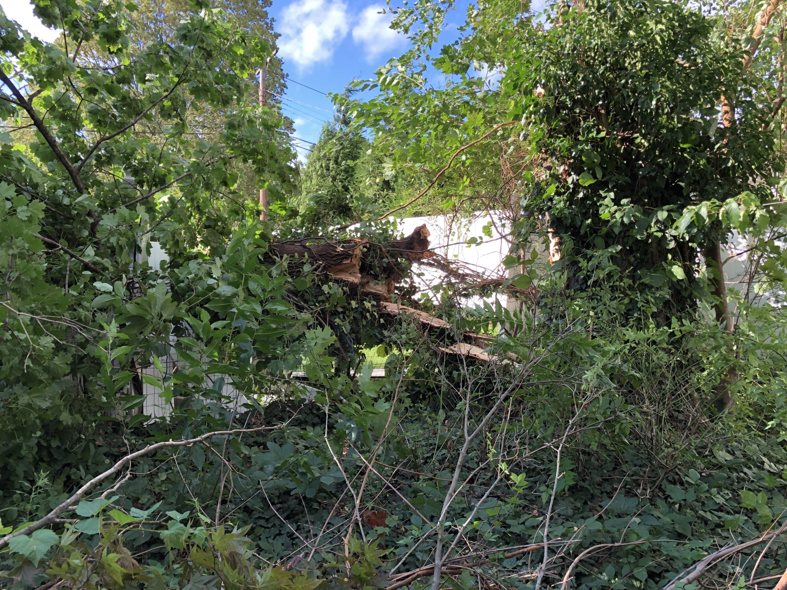 storm damage