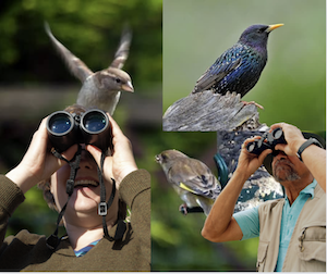OCC Guided Nature Bird Walk On April 20
